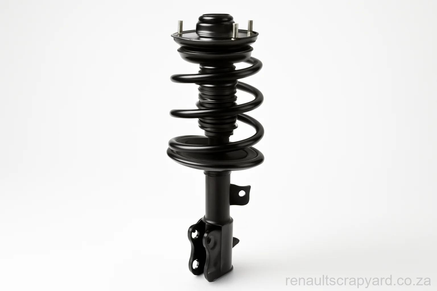 Struts for Renault Modus